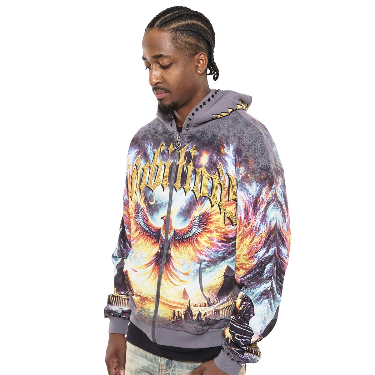 Ambitions stray full-zip hoodie
