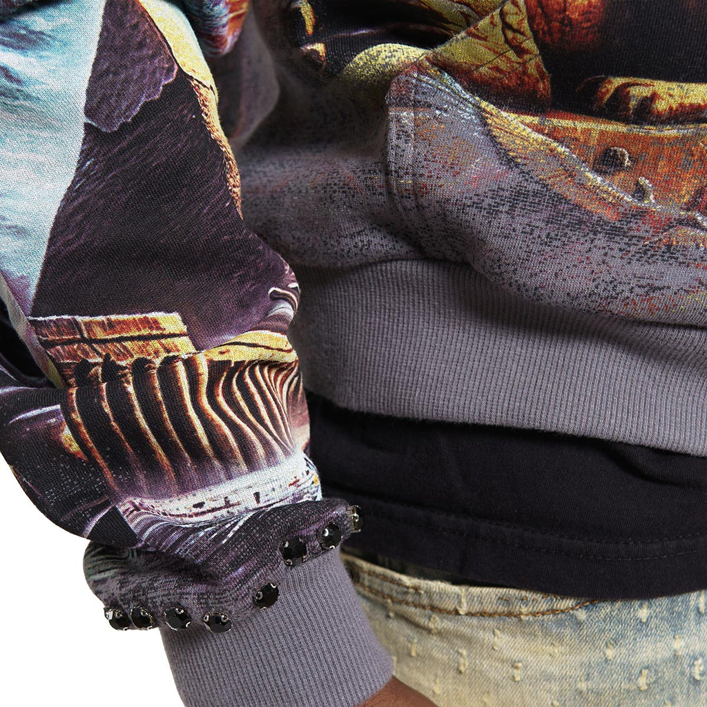 Ambitions stray full-zip hoodie