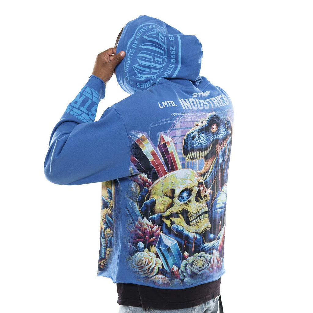 Delusions stray full-zip hoodie