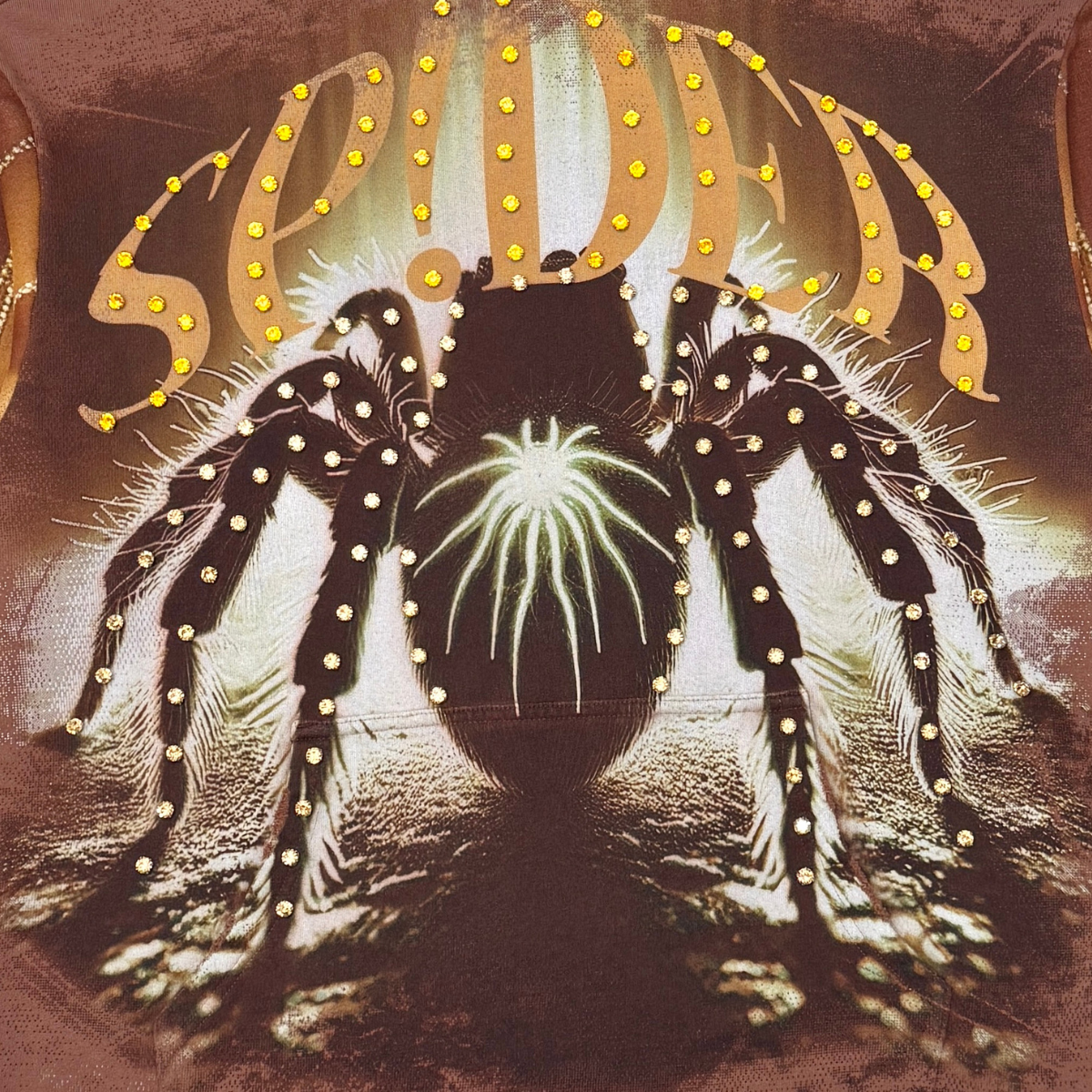 Stray spider Pullover hoodie