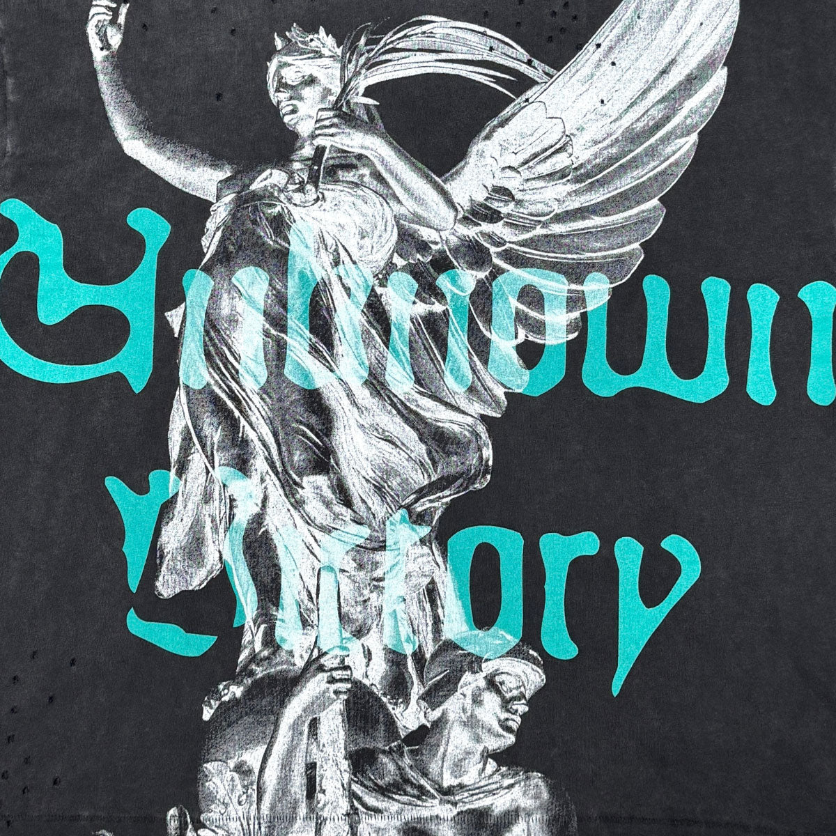 Unknown victory tee